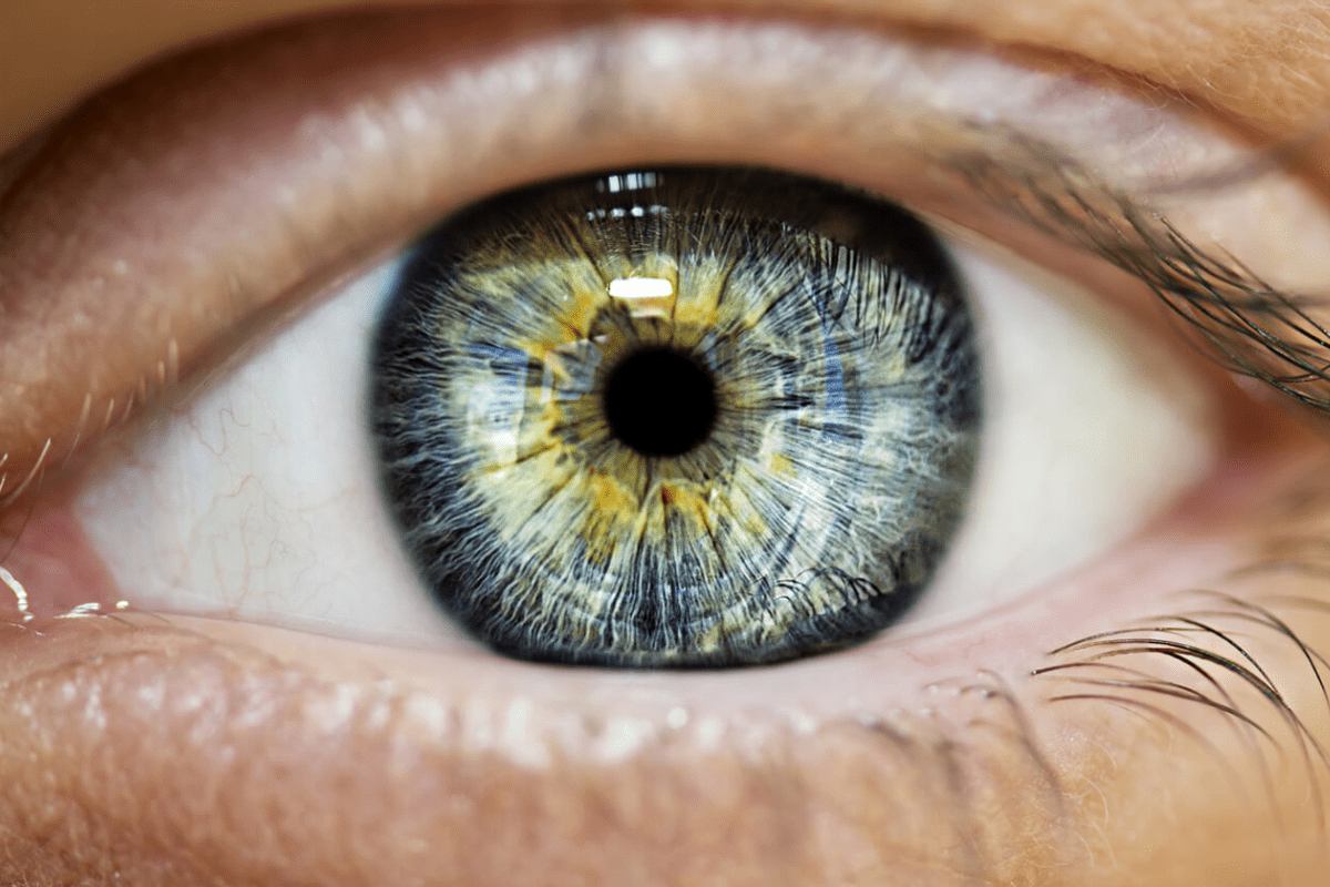 Besser Sehen durch Supplemente - PDB Onlineshop