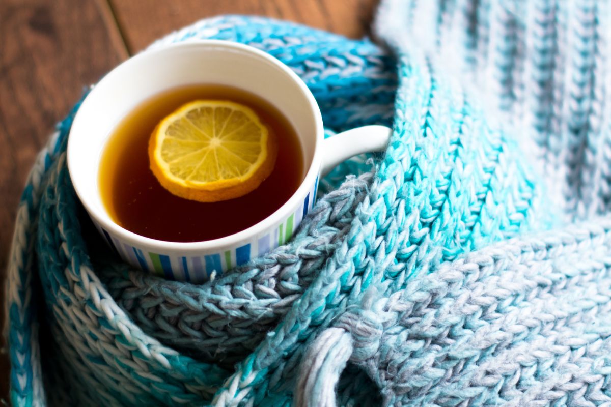 Der Winter fordert das Immunsystem - so stärkst Du mit PDB Deine Gesundheit - PDB Onlineshop