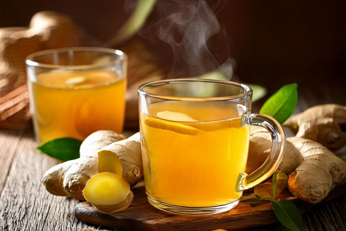 Ingwer - Die Wunderknolle - PDB Onlineshop