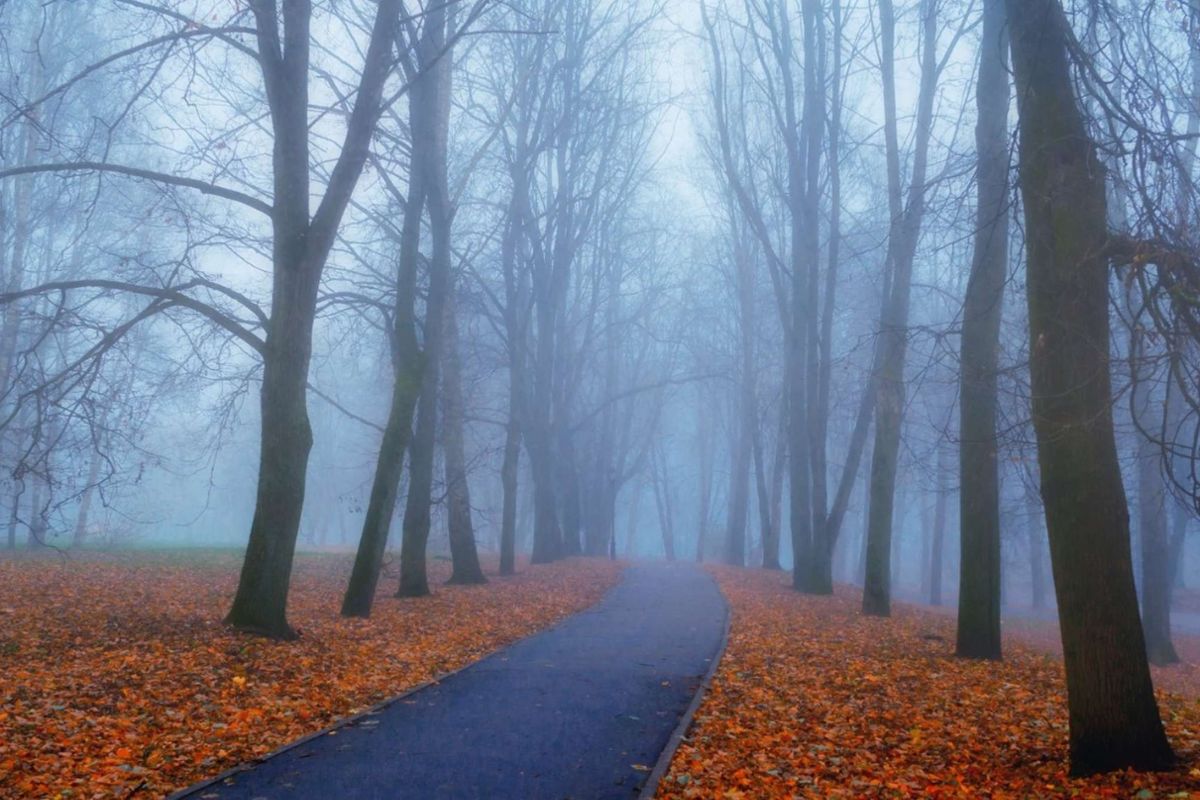 Produkt-Highlight: Energy - PDB Onlineshop