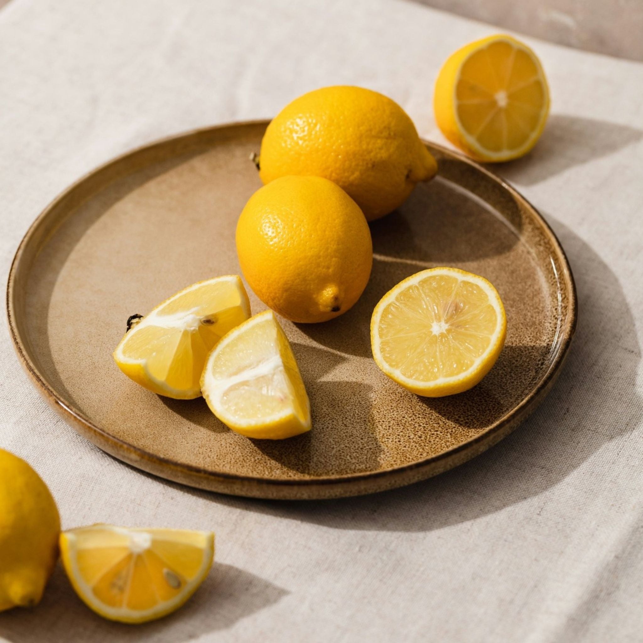 Immun - PDB Onlineshop