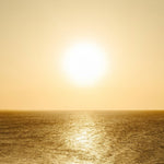 Vitamin D3 + K2 - PDB Onlineshop