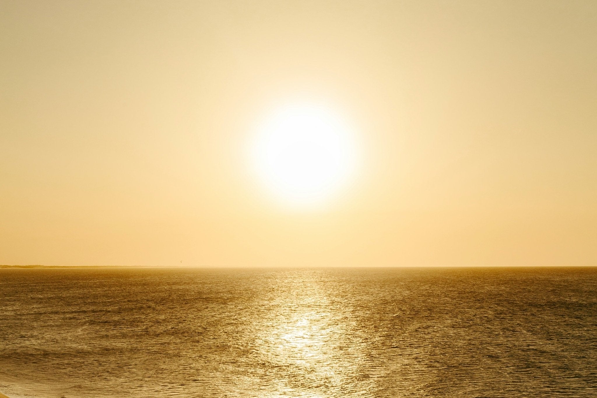 Vitamin D3 + K2 - PDB Onlineshop